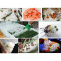 2015 good price large seawater bullet shape ice makers